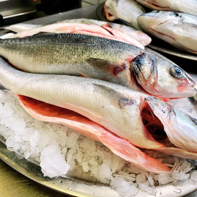 Restaurant 1130, Fischrestaurant 1130, Candlelight Dinner 1130, Seafood Brunch 1130, Brunch 1130