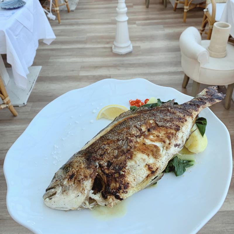 Restaurant 1130, Fischrestaurant 1130, Candlelight Dinner 1130, Seafood Brunch 1130, Brunch 1130